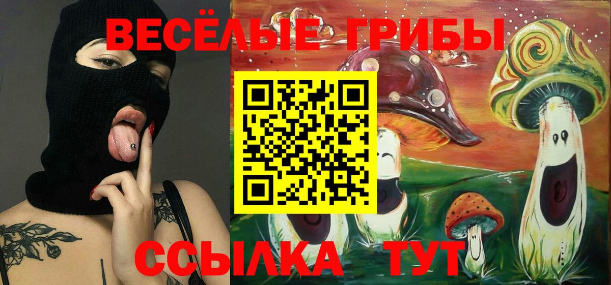 Серпухов  Галлюциногенные грибы GOLDEN TEACHER  Вход с VPN 